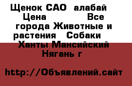 Щенок САО (алабай) › Цена ­ 10 000 - Все города Животные и растения » Собаки   . Ханты-Мансийский,Нягань г.